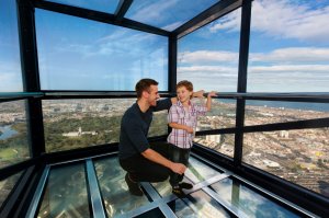 콤보 : 멜버른 스카이덱 + 씨라이프 멜버른 수족관 입장권