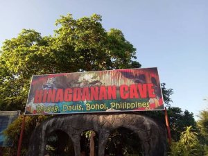 [보홀] 나팔링 정어리때 스노쿨링 & 히낙다난 케이브 투어 (고프로촬영포함)