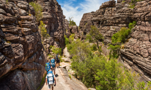 멜버른에서 출발하는 그램피언스 국립공원 일일 투어