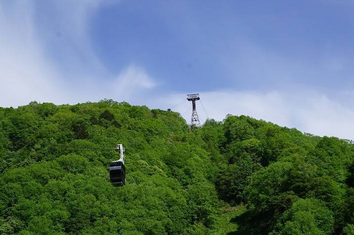 [나고야] 신호타카 로프웨이 왕복 승차권 (제1,2 로프웨이)