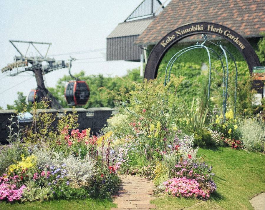 [고베] 고베 누노비키 허브가든 로프웨이 입장권