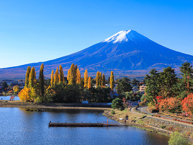[도쿄](카와구치코 투어]) 후지산의 절경과 아름다운 호수주변의 자연을 체험하기! 2명부터가능~