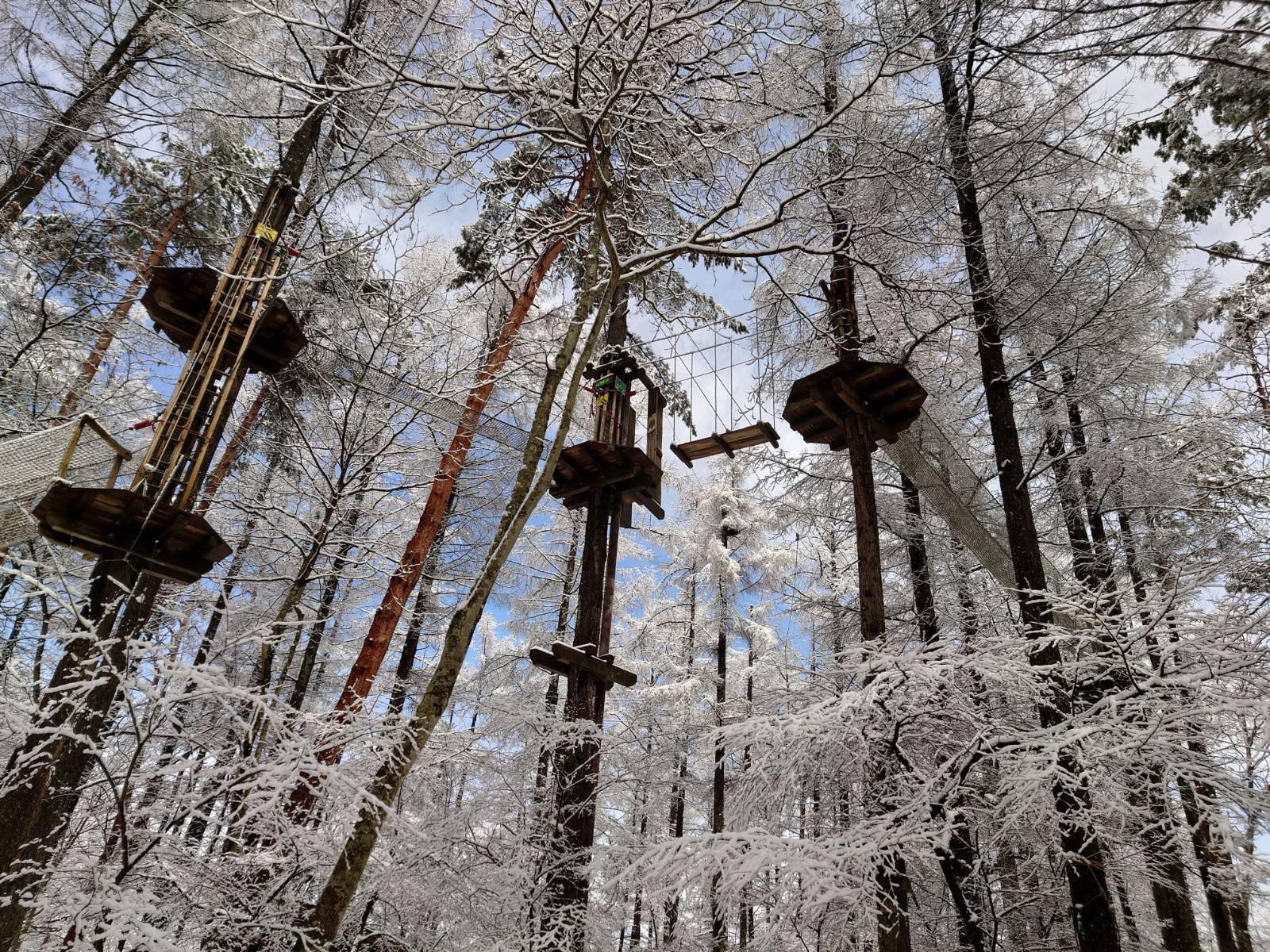 [홋카이도] 포레스트 어드벤처 에니와 체험권 (짚트립 투어)