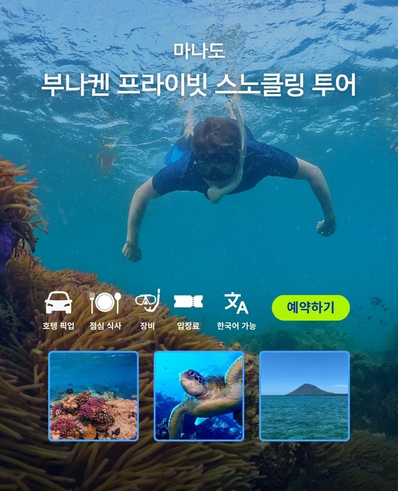 마나도 부나켄 프라이빗 스노클링 투어
